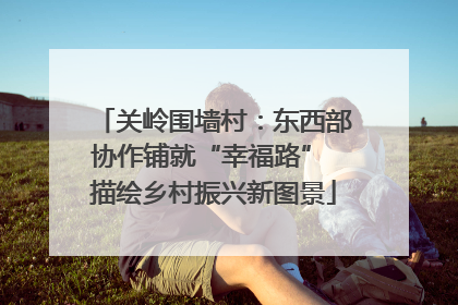 关岭围墙村：东西部协作铺就“幸福路” 描绘乡村振兴新图景