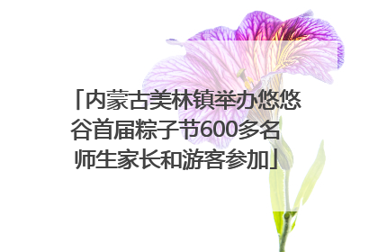 内蒙古美林镇举办悠悠谷首届粽子节600多名师生家长和游客参加
