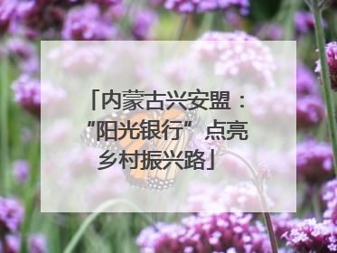 内蒙古兴安盟：“阳光银行”点亮乡村振兴路