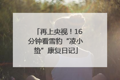 再上央视！16分钟看雪豹“凌小蛰”康复日记