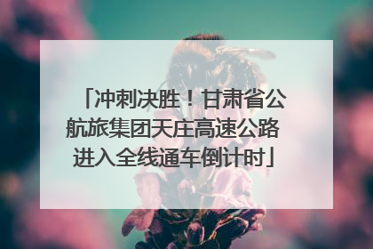 冲刺决胜！甘肃省公航旅集团天庄高速公路进入全线通车倒计时