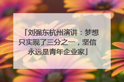刘强东杭州演讲：梦想只实现了三分之一，坚信永远是青年企业家