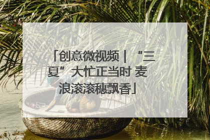 创意微视频｜“三夏”大忙正当时 麦浪滚滚穗飘香