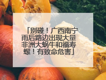 别碰！广西南宁雨后路边出现大量非洲大蜗牛和福寿螺！有致命危害