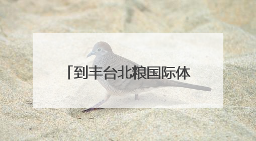 到丰台北粮国际体育小镇，沉浸式体验青海玉树文化