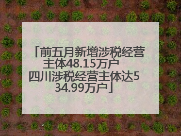 前五月新增涉税经营主体48.15万户 四川涉税经营主体达534.99万户