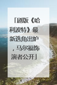 剧版《哈利波特》最新选角出炉，马尔福饰演者公开