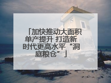 加快推动大面积单产提升 打造新时代更高水平“洞庭粮仓”