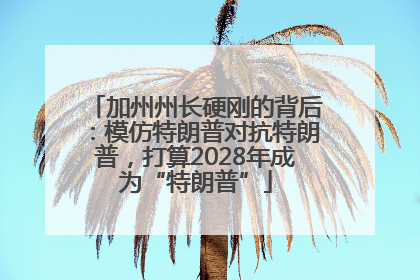 加州州长硬刚的背后：模仿特朗普对抗特朗普，打算2028年成为“特朗普”