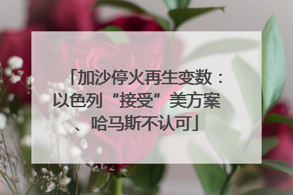 加沙停火再生变数：以色列“接受”美方案、哈马斯不认可