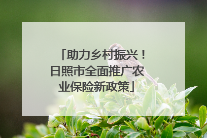 助力乡村振兴！日照市全面推广农业保险新政策