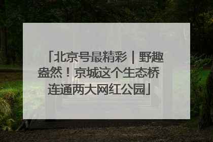 北京号最精彩｜野趣盎然！京城这个生态桥连通两大网红公园