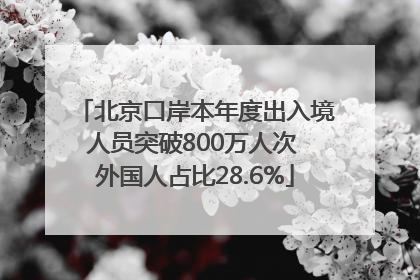 北京口岸本年度出入境人员突破800万人次 外国人占比28.6%