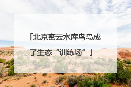 北京密云水库鸟岛成了生态“训练场”