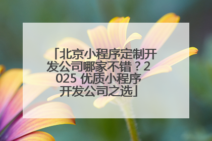 北京小程序定制开发公司哪家不错？2025 优质小程序开发公司之选