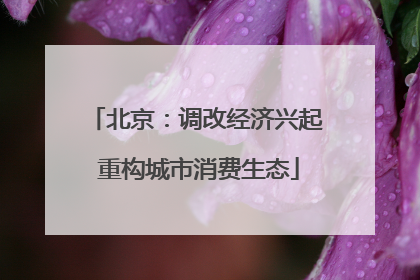 北京：调改经济兴起 重构城市消费生态