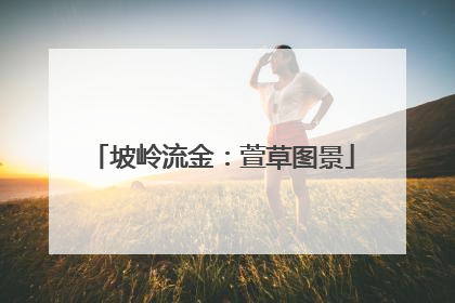 坡岭流金：萱草图景