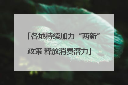 各地持续加力“两新”政策 释放消费潜力