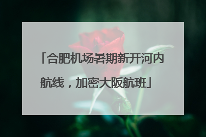 合肥机场暑期新开河内航线，加密大阪航班