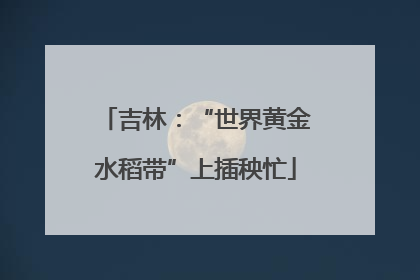吉林：“世界黄金水稻带”上插秧忙