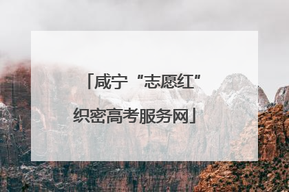 咸宁“志愿红”织密高考服务网