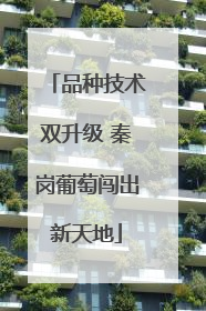 品种技术双升级 秦岗葡萄闯出新天地