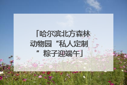 哈尔滨北方森林动物园“私人定制”粽子迎端午