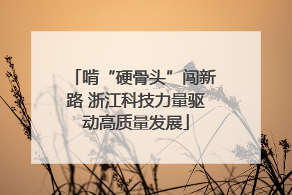 啃“硬骨头”闯新路 浙江科技力量驱动高质量发展