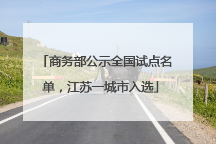 商务部公示全国试点名单，江苏一城市入选