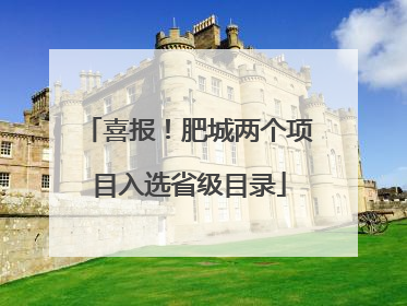 喜报！肥城两个项目入选省级目录