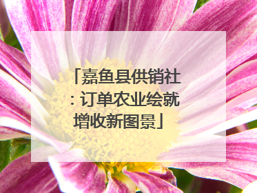 嘉鱼县供销社：订单农业绘就增收新图景