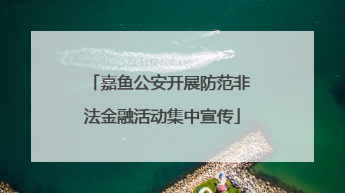 嘉鱼公安开展防范非法金融活动集中宣传