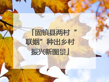 固镇县两村“联姻”种出乡村振兴新图景