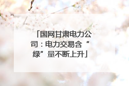 国网甘肃电力公司：电力交易含“绿”量不断上升