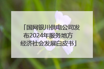 国网银川供电公司发布2024年服务地方经济社会发展白皮书