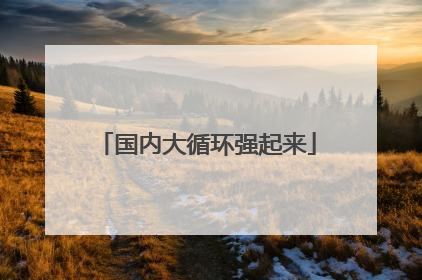 国内大循环强起来