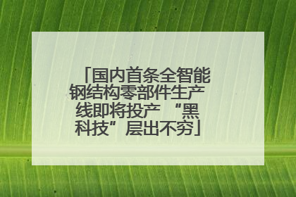 国内首条全智能钢结构零部件生产线即将投产 “黑科技”层出不穷