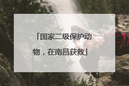 国家二级保护动物，在南昌获救