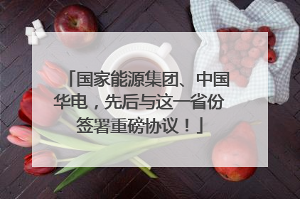 国家能源集团、中国华电，先后与这一省份签署重磅协议！