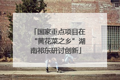 国家重点项目在“黄花菜之乡”湖南祁东研讨创新
