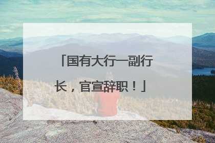 国有大行一副行长，官宣辞职！
