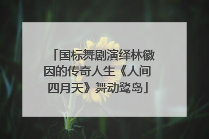 国标舞剧演绎林徽因的传奇人生《人间四月天》舞动鹭岛