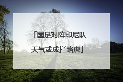 国足对阵印尼队 天气或成拦路虎