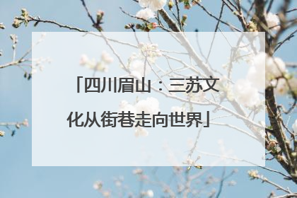 四川眉山：三苏文化从街巷走向世界