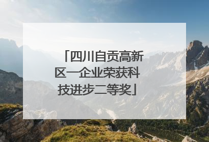 四川自贡高新区一企业荣获科技进步二等奖