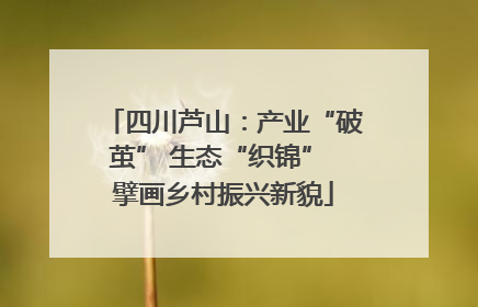 四川芦山：产业“破茧” 生态“织锦” 擘画乡村振兴新貌
