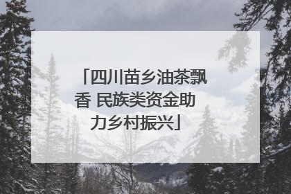 四川苗乡油茶飘香 民族类资金助力乡村振兴