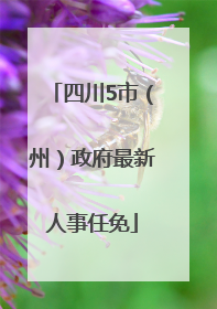 四川5市（州）政府最新人事任免