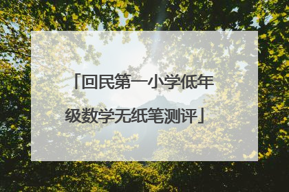 回民第一小学低年级数学无纸笔测评