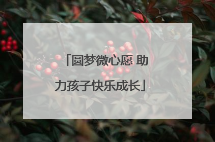 圆梦微心愿 助力孩子快乐成长